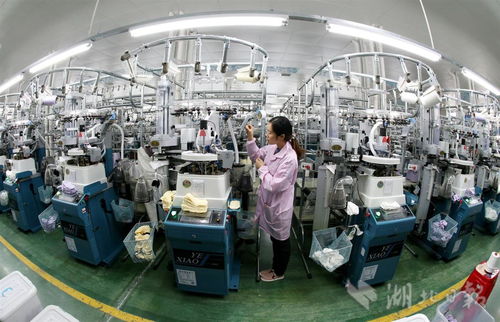 老區企業納米紡織品俏銷國內外，創新科技引領紡織新浪潮